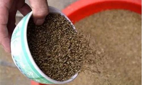 2024菠菜论坛：LOL游戏精彩分析