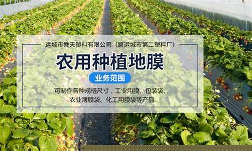 菠菜LOL游戏专业导航：全面指南