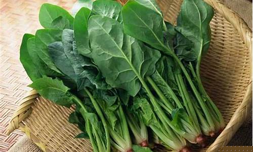线上菠菜入口：线上菠菜直营详解
